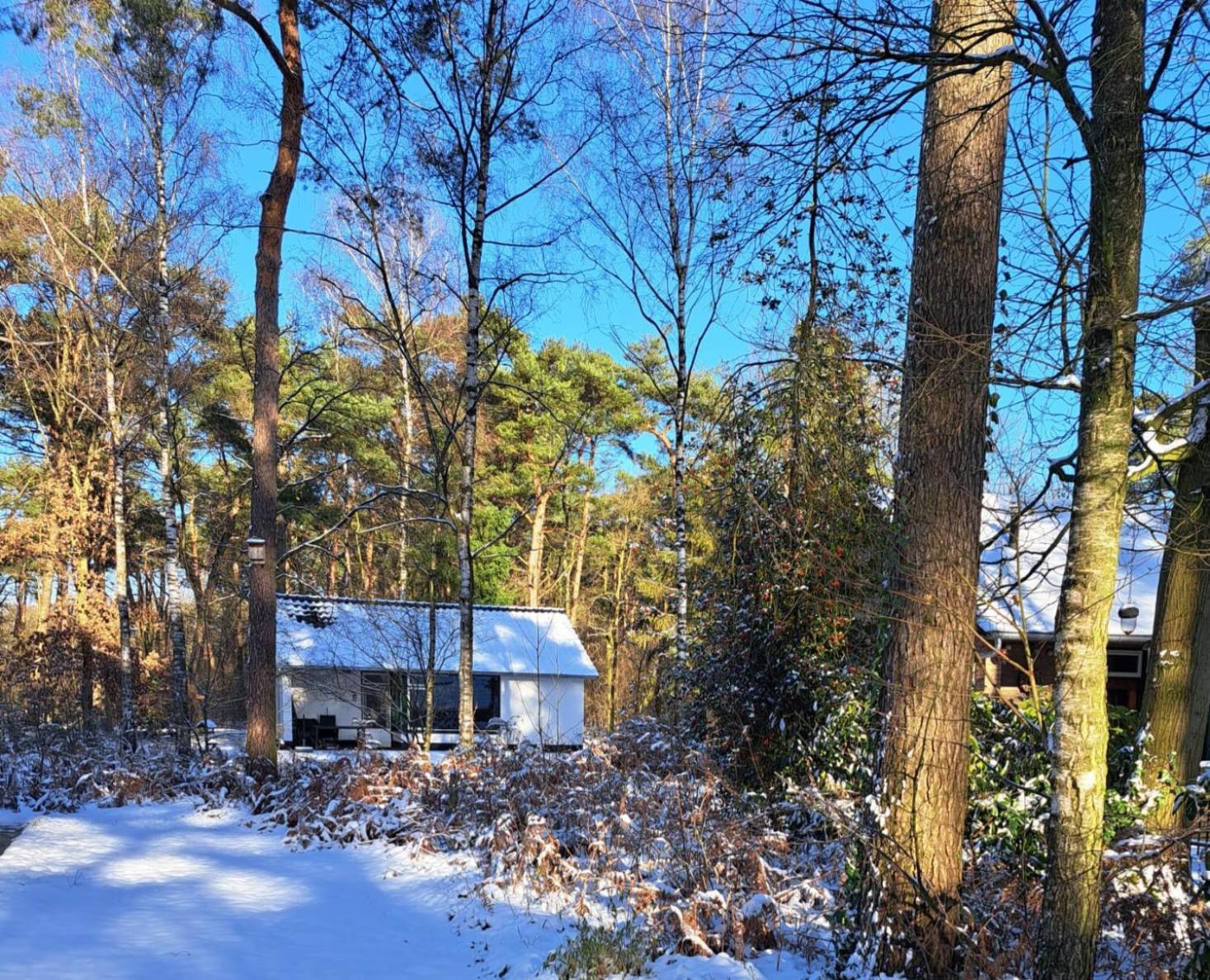 Villa Bungalow, Vrijstaand, Het Vosseven Nr 38 Stramproy Exterior foto